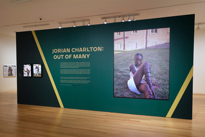 Installation views of Jorian Charlton: Out of Many, December 18 - August 7, 2022 at the Art Gallery of Ontario © AGO